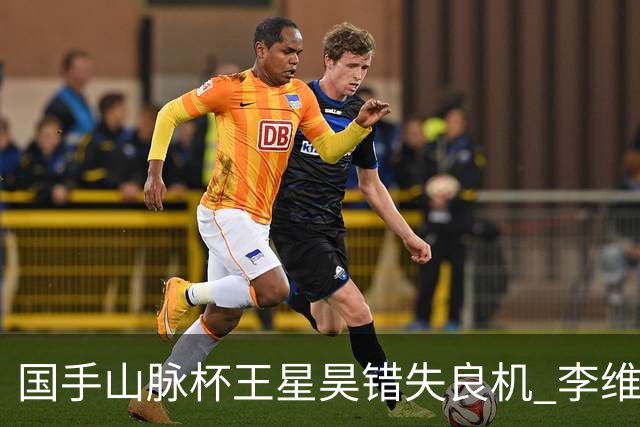 国手山脉杯王星昊错失良机 李维清三连胜将与申真谞争冠